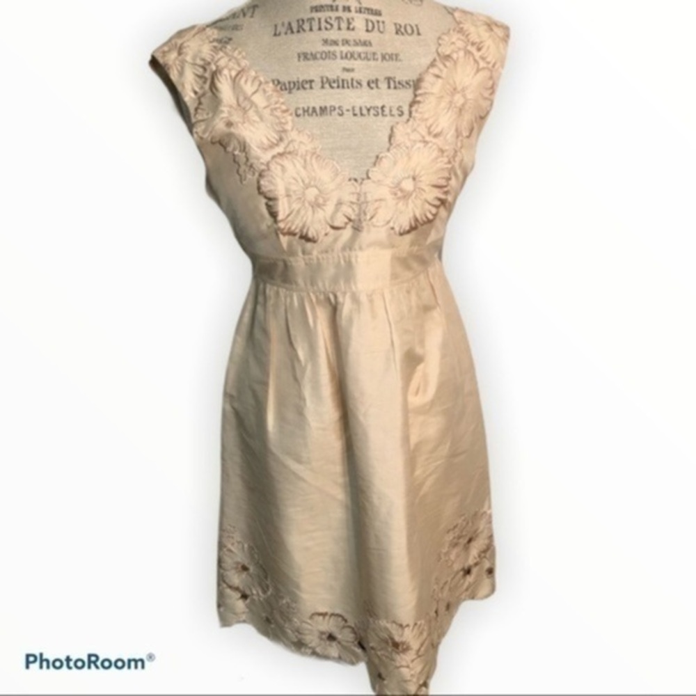Adrianna Papell Dress   B11